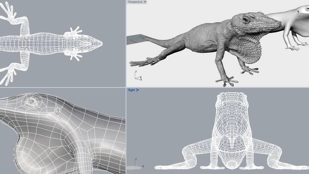 Lagarto Carolina Anole impressão 3D Zoo de Londres 5