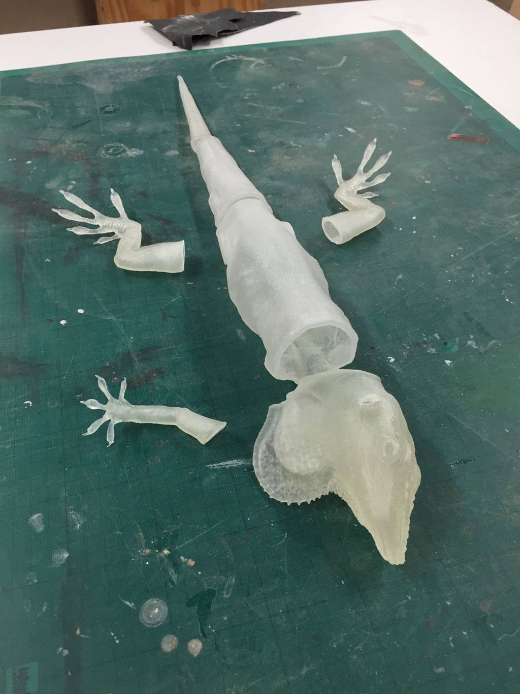 Lagarto Carolina Anole impressão 3D Zoo de Londres 10